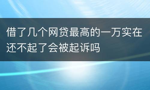 借了几个网贷最高的一万实在还不起了会被起诉吗