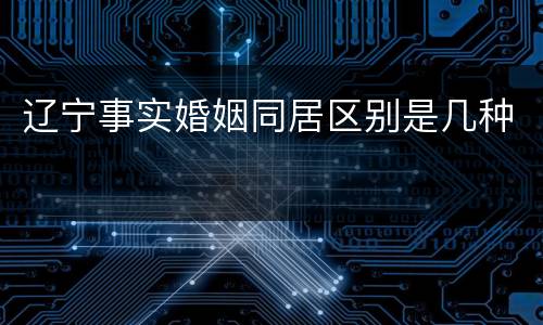 辽宁事实婚姻同居区别是几种