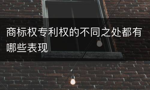 商标权专利权的不同之处都有哪些表现