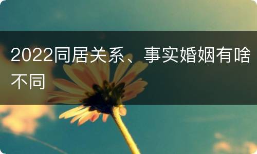 2022同居关系、事实婚姻有啥不同
