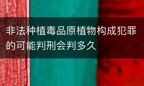 非法种植毒品原植物构成犯罪的可能判刑会判多久