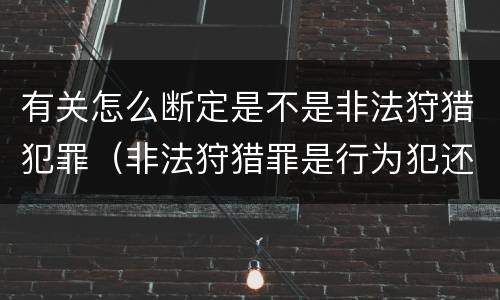 有关怎么断定是不是非法狩猎犯罪（非法狩猎罪是行为犯还是结果犯）