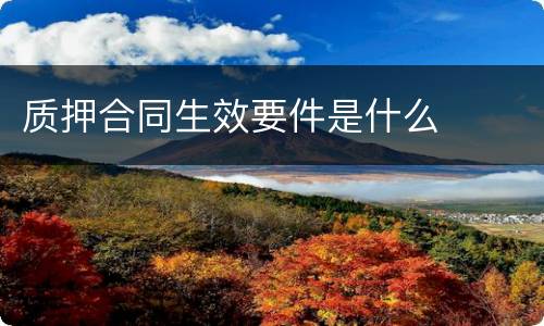 质押合同生效要件是什么
