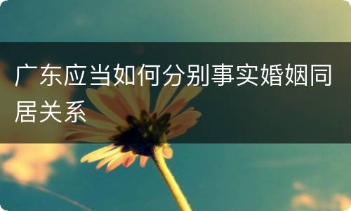 广东应当如何分别事实婚姻同居关系