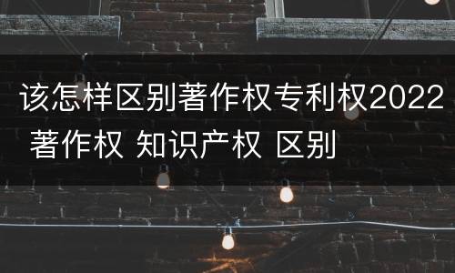 该怎样区别著作权专利权2022 著作权 知识产权 区别