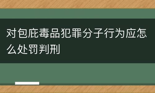 对包庇毒品犯罪分子行为应怎么处罚判刑