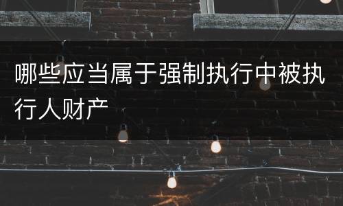 哪些应当属于强制执行中被执行人财产