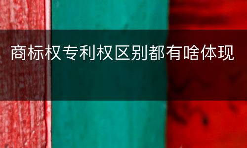 商标权专利权区别都有啥体现