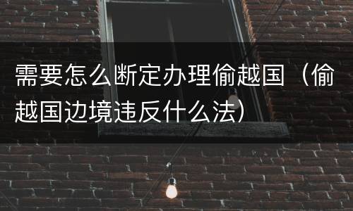 需要怎么断定办理偷越国（偷越国边境违反什么法）