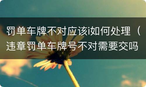 罚单车牌不对应该i如何处理（违章罚单车牌号不对需要交吗）