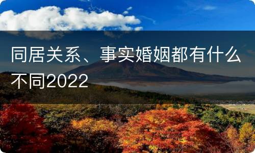 同居关系、事实婚姻都有什么不同2022