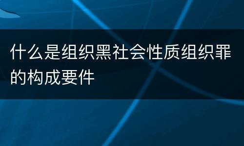 什么是组织黑社会性质组织罪的构成要件