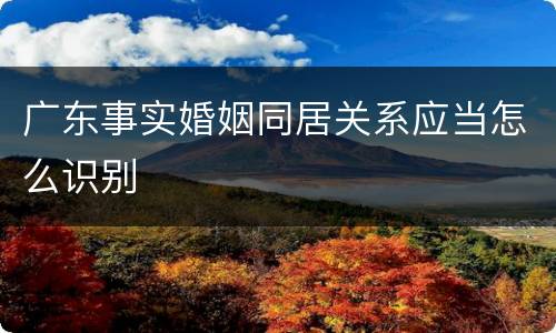 广东事实婚姻同居关系应当怎么识别