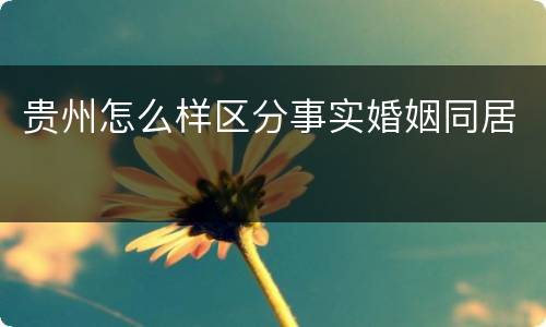 贵州怎么样区分事实婚姻同居