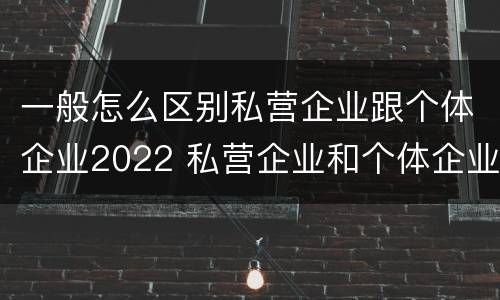 一般怎么区别私营企业跟个体企业2022 私营企业和个体企业