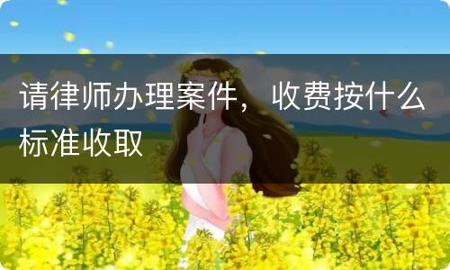 请律师办理案件，收费按什么标准收取