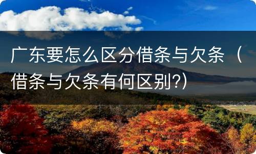 广东要怎么区分借条与欠条（借条与欠条有何区别?）