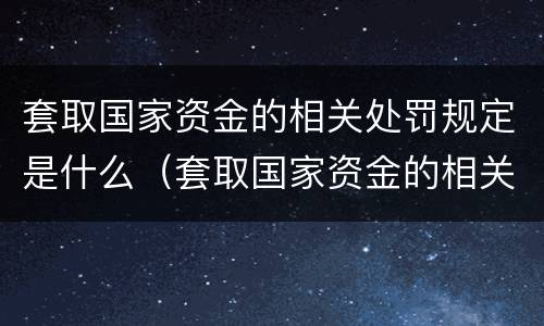 套取国家资金的相关处罚规定是什么（套取国家资金的相关处罚规定是什么意思）