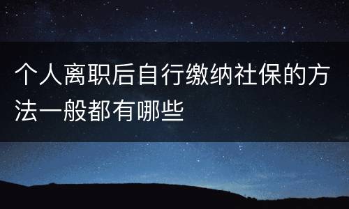 个人离职后自行缴纳社保的方法一般都有哪些