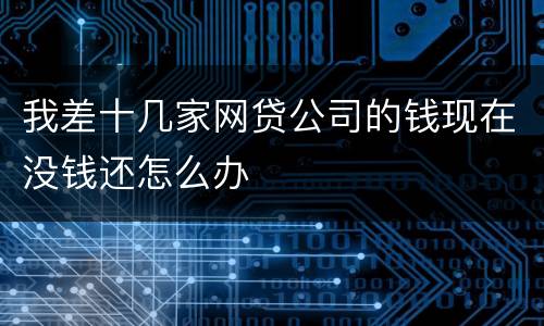 我差十几家网贷公司的钱现在没钱还怎么办