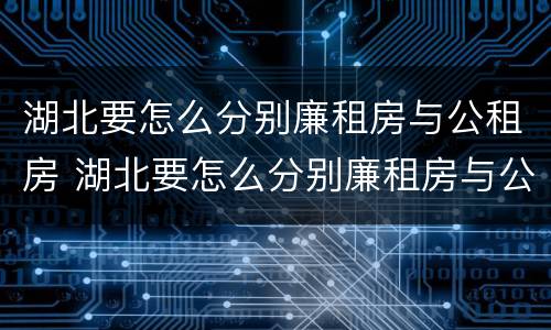 湖北要怎么分别廉租房与公租房 湖北要怎么分别廉租房与公租房和商品房