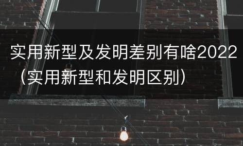 实用新型及发明差别有啥2022（实用新型和发明区别）