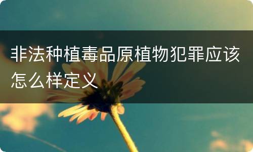 非法种植毒品原植物犯罪应该怎么样定义