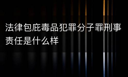 法律包庇毒品犯罪分子罪刑事责任是什么样