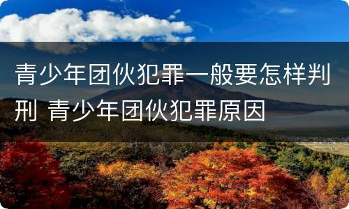 青少年团伙犯罪一般要怎样判刑 青少年团伙犯罪原因