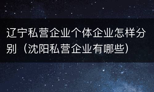 辽宁私营企业个体企业怎样分别（沈阳私营企业有哪些）