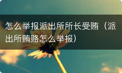 怎么举报派出所所长受贿（派出所贿赂怎么举报）