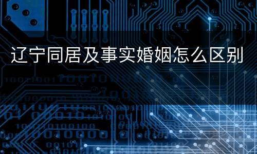 辽宁同居及事实婚姻怎么区别
