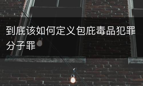 到底该如何定义包庇毒品犯罪分子罪