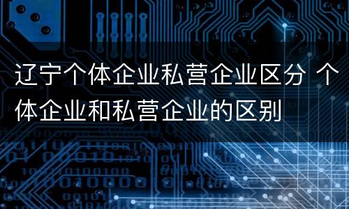 辽宁个体企业私营企业区分 个体企业和私营企业的区别