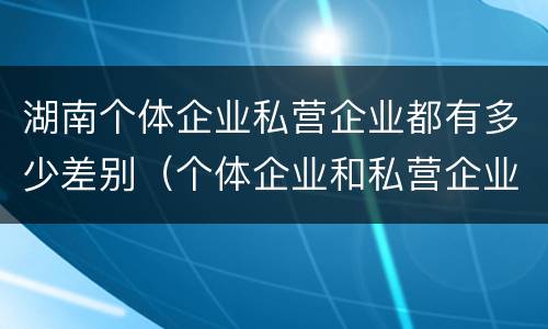 湖南个体企业私营企业都有多少差别（个体企业和私营企业）