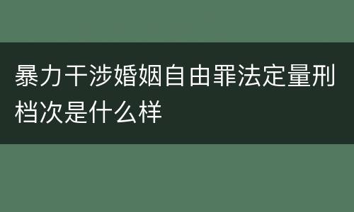 暴力干涉婚姻自由罪法定量刑档次是什么样