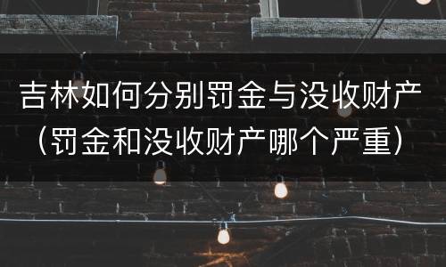 吉林如何分别罚金与没收财产（罚金和没收财产哪个严重）