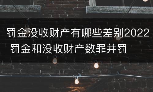 罚金没收财产有哪些差别2022 罚金和没收财产数罪并罚