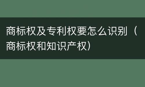 商标权及专利权要怎么识别（商标权和知识产权）