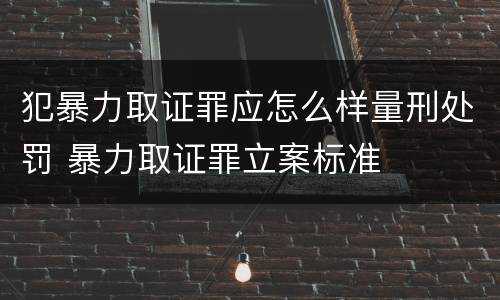 犯暴力取证罪应怎么样量刑处罚 暴力取证罪立案标准