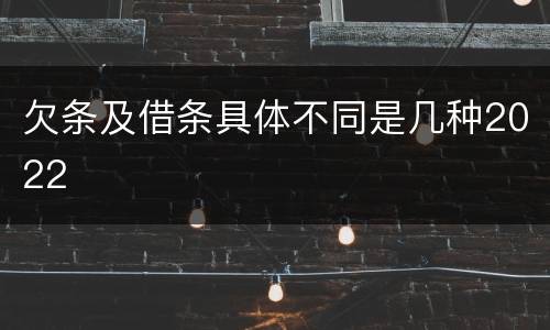 欠条及借条具体不同是几种2022