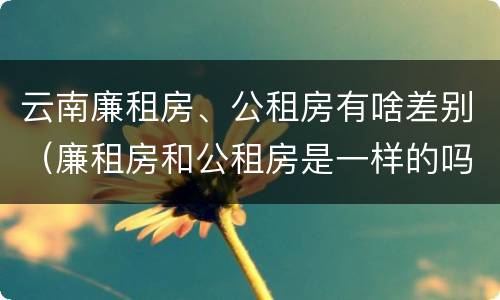 云南廉租房、公租房有啥差别（廉租房和公租房是一样的吗）