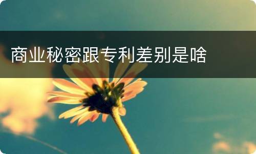 商业秘密跟专利差别是啥