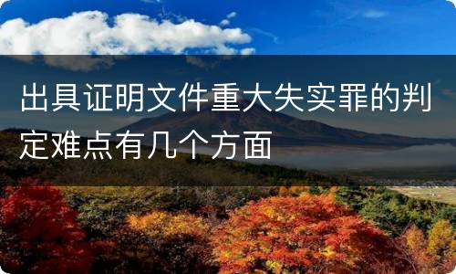 出具证明文件重大失实罪的判定难点有几个方面