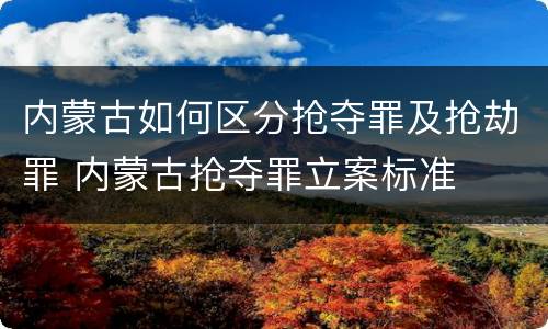 内蒙古如何区分抢夺罪及抢劫罪 内蒙古抢夺罪立案标准