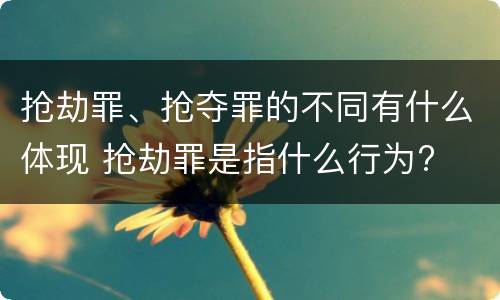 抢劫罪、抢夺罪的不同有什么体现 抢劫罪是指什么行为?
