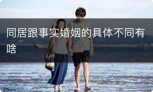 同居跟事实婚姻的具体不同有啥