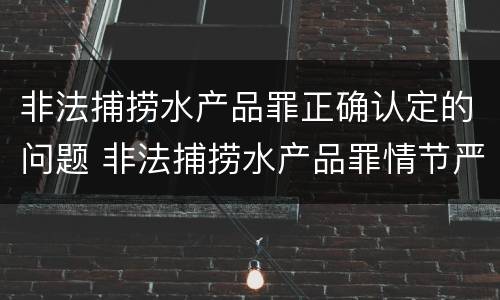 非法捕捞水产品罪正确认定的问题 非法捕捞水产品罪情节严重的认定