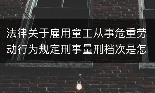 法律关于雇用童工从事危重劳动行为规定刑事量刑档次是怎样