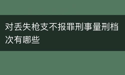 对丢失枪支不报罪刑事量刑档次有哪些